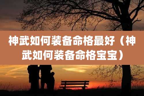 神武如何装备命格最好(神武如何装备命格宝宝)
