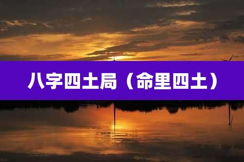 八字四土局（命里四土）