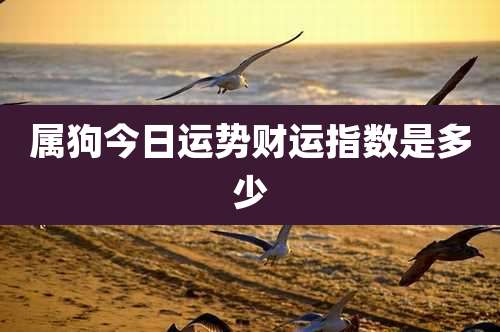 属狗今日运势财运指数是多少