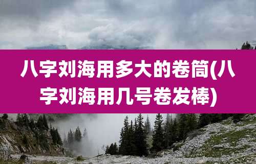 八字刘海用多大的卷筒(八字刘海用几号卷发棒)