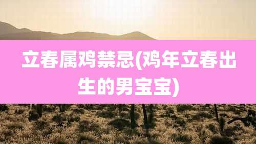 立春属鸡禁忌(鸡年立春出生的男宝宝)