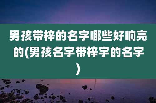 男孩带梓的名字哪些好响亮的(男孩名字带梓字的名字)