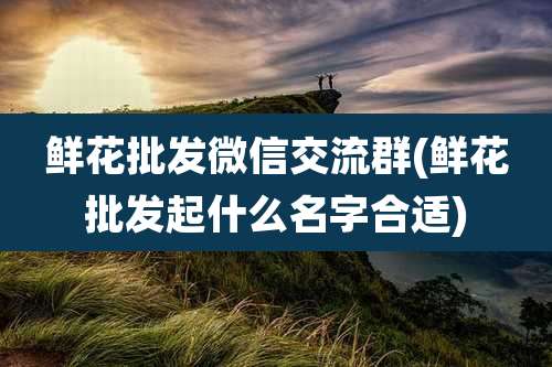 鲜花批发微信交流群(鲜花批发起什么名字合适)