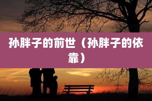 孙胖子的前世（孙胖子的依靠）