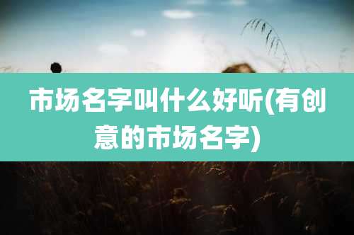 市场名字叫什么好听(有创意的市场名字)