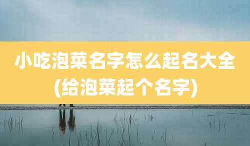 小吃泡菜名字怎么起名大全(给泡菜起个名字)