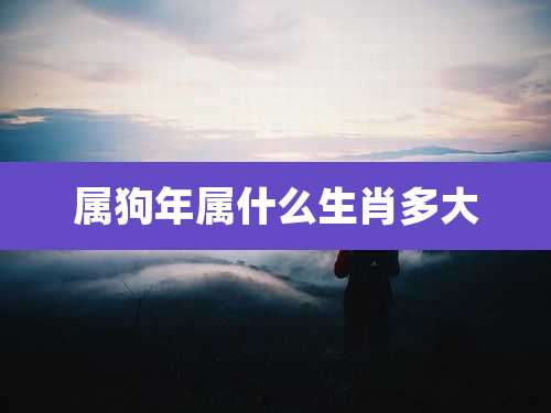 属狗年属什么生肖多大