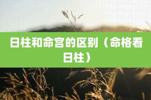 日柱和命宫的区别（命格看日柱）