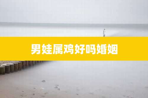 男娃属鸡好吗婚姻