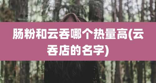 肠粉和云吞哪个热量高(云吞店的名字)