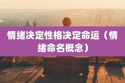 情绪决定性格决定命运（情绪命名概念）