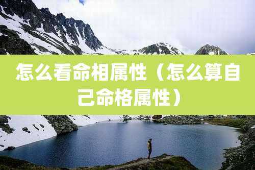 怎么看命相属性（怎么算自己命格属性）