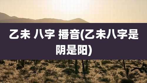乙未 八字 播音(乙未八字是阴是阳)