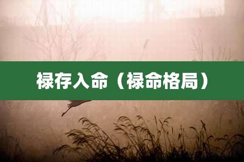 禄存入命(禄命格局)