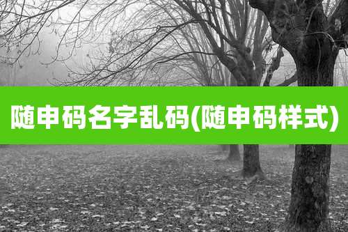 随申码名字乱码(随申码样式)