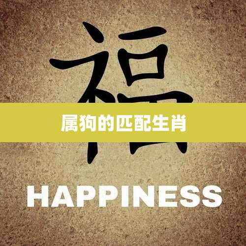 属狗的匹配生肖