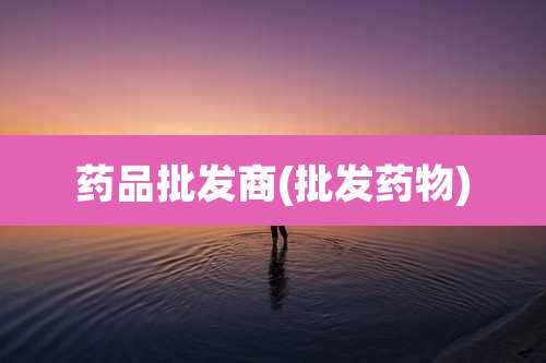 药品批发商(批发药物)