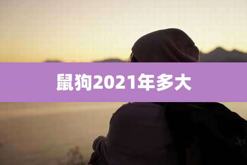 鼠狗2021年多大