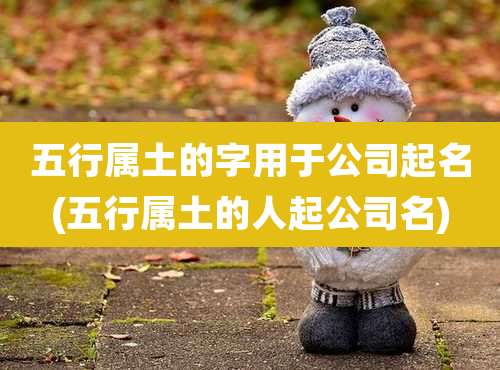 五行属土的字用于公司起名(五行属土的人起公司名)
