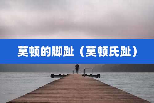 莫顿的脚趾（莫顿氏趾）