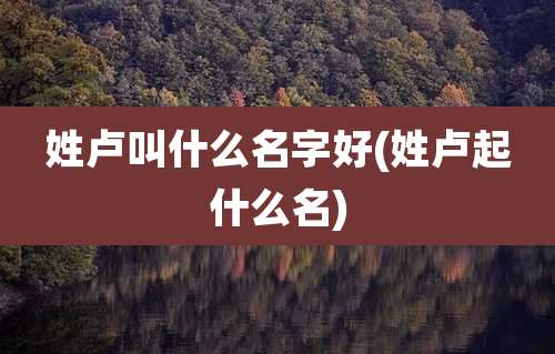姓卢叫什么名字好(姓卢起什么名)