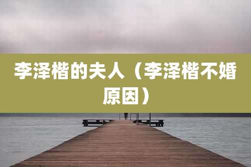 李泽楷的夫人（李泽楷不婚原因）