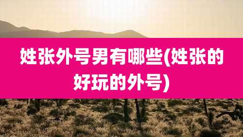 姓张外号男有哪些(姓张的好玩的外号)