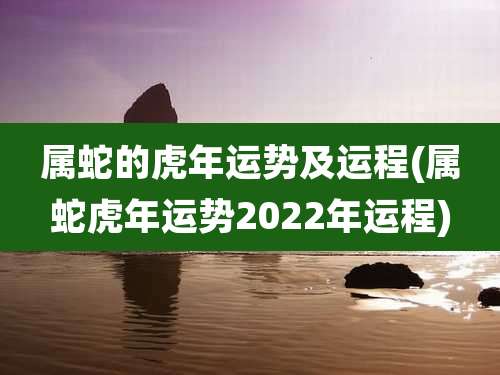 属蛇的虎年运势及运程(属蛇虎年运势2022年运程)