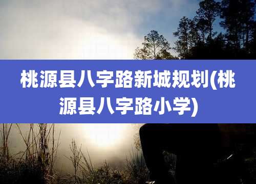 桃源县八字路新城规划(桃源县八字路小学)