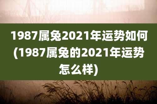 1987属兔2021年运势如何(1987属兔的2021年运势怎么样)