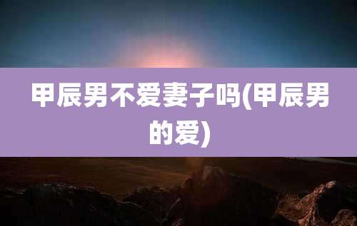 甲辰男不爱妻子吗(甲辰男的爱)