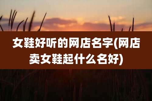 女鞋好听的网店名字(网店卖女鞋起什么名好)