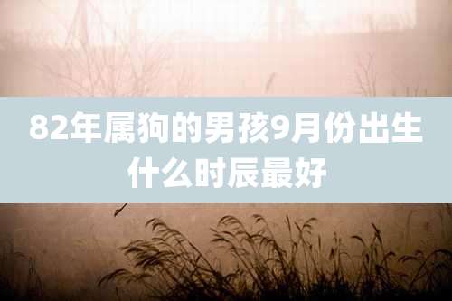82年属狗的男孩9月份出生什么时辰最好