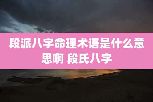 段派八字命理术语是什么意思啊 段氏八字