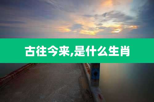 古往今来,是什么生肖