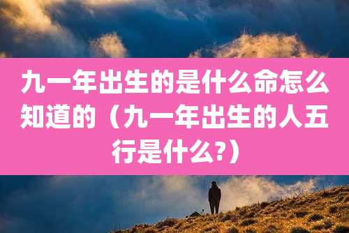 九一年出生的是什么命怎么知道的(九一年出生的人五行是什么?)