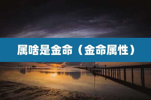 属啥是金命(金命属性)