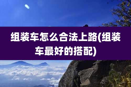 组装车怎么合法上路(组装车最好的搭配)