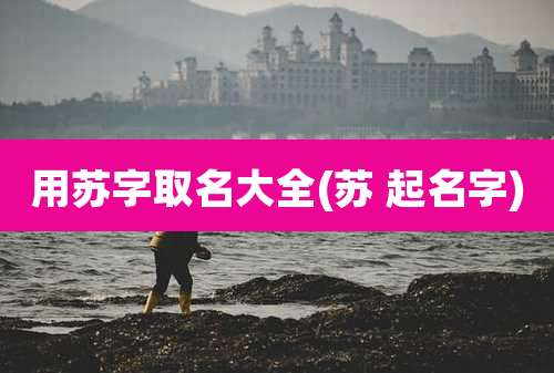 用苏字取名大全(苏 起名字)