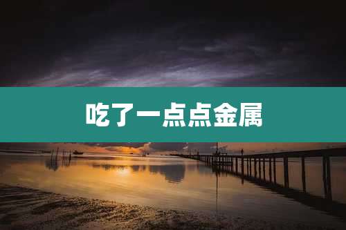 吃了一点点金属
