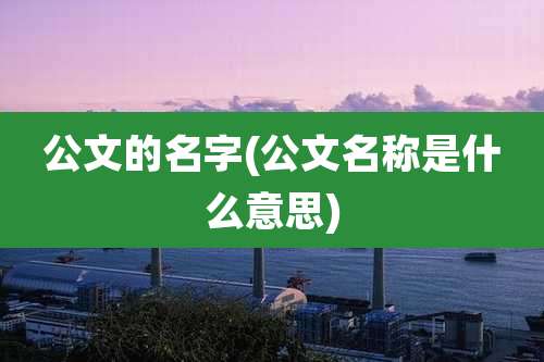 公文的名字(公文名称是什么意思)