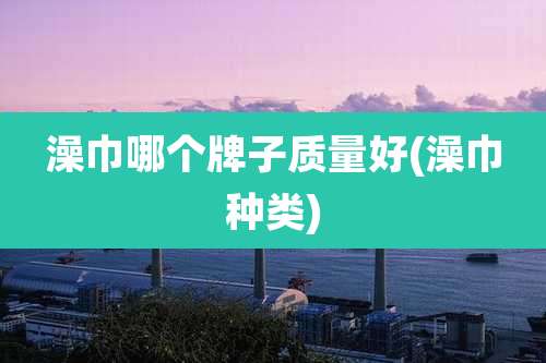 澡巾哪个牌子质量好(澡巾种类)