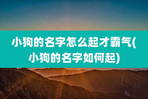 小狗的名字怎么起才霸气(小狗的名字如何起)