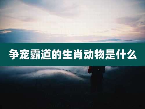 争宠霸道的生肖动物是什么