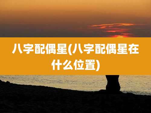 八字配偶星(八字配偶星在什么位置)