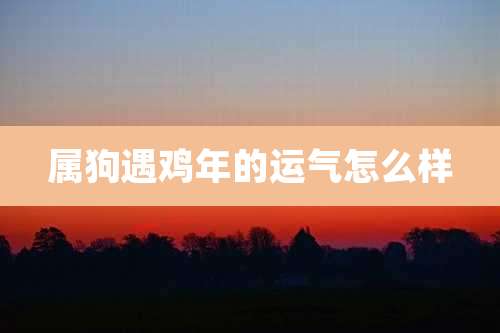 属狗遇鸡年的运气怎么样