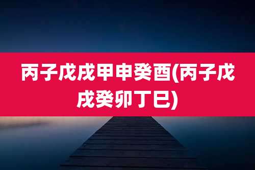 丙子戊戌甲申癸酉(丙子戊戌癸卯丁巳)