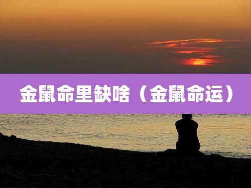 金鼠命里缺啥（金鼠命运）