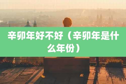 辛卯年好不好（辛卯年是什么年份）