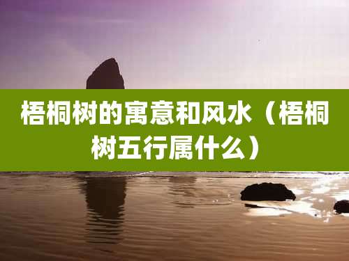 梧桐树的寓意和风水（梧桐树五行属什么）